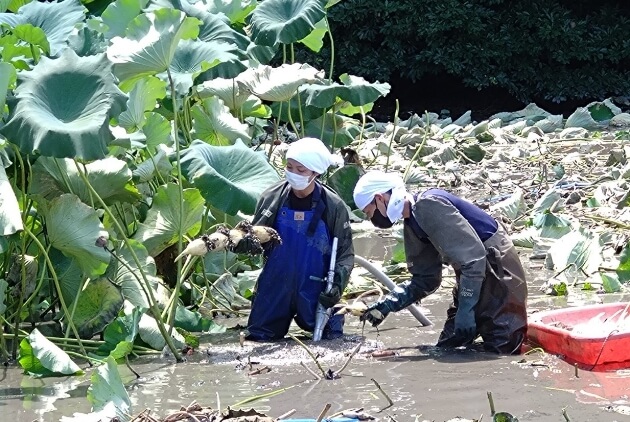 産地との共存共栄