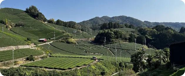 地域との交流